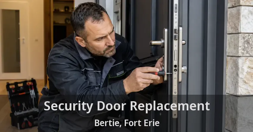 Security Door Replacement Bertie, Fort Erie - ON